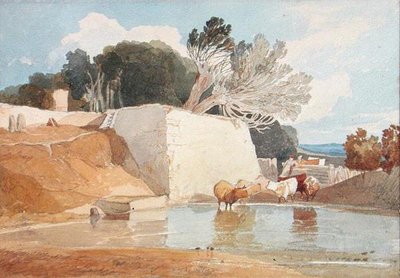 Vee dat drinkt door John Sell Cotman