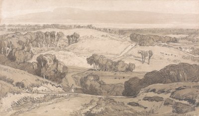 Holt Heath, nabij Norwich door John Sell Cotman
