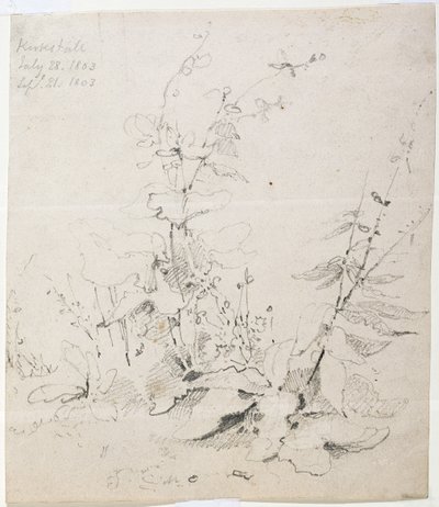 Studie van Onkruid, Kirkstall door John Sell Cotman