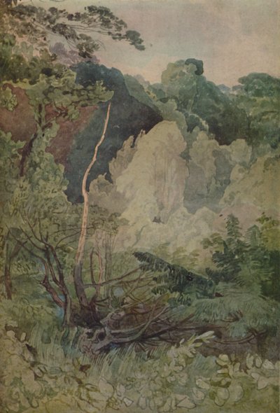 Bomen bij de Greta-rivier door John Sell Cotman