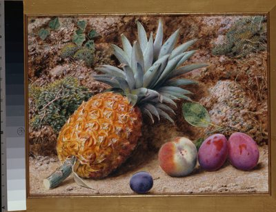 Een ananas, een perzik en pruimen op een mosrijke oever door John Sherrin