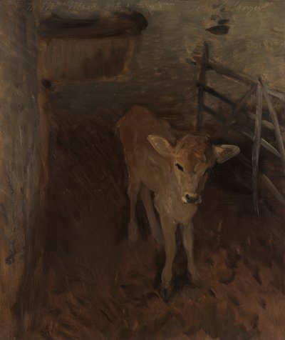 Een Jersey kalf door John Singer Sargent