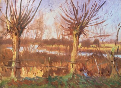 Landschap met Bomen, Calcot-on-the-Thames door John Singer Sargent