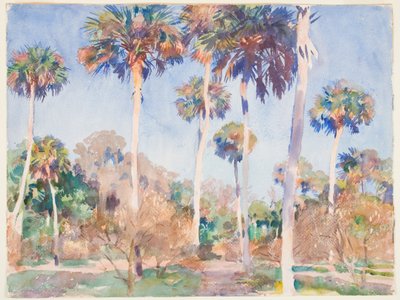 Palmen, 1917 door John Singer Sargent