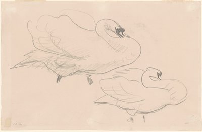 Studies van een Zwaan, 1880-1900 door John Singer Sargent