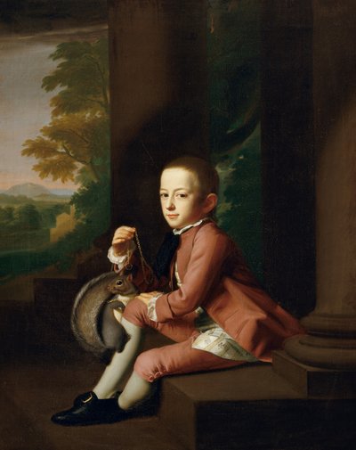 Daniel Crommelin Verplanck door John Singleton Copley