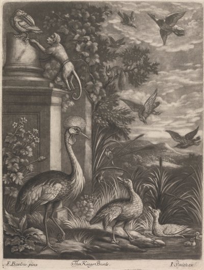 De Koningsvogels door John Smith