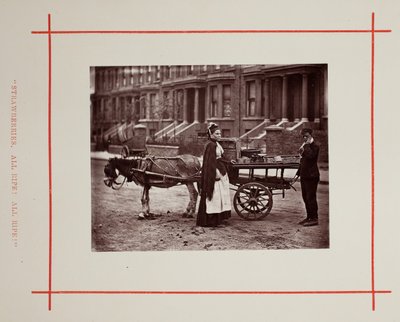Aardbeien. Alle rijp! Alle rijp!, 1877 door John Thomson