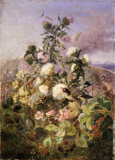 Een distelvink en een vlinder tussen distels en bramenbloesem door John Wainwright