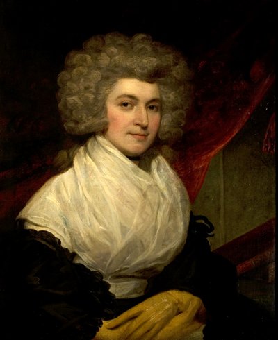 Portret van een dame door John Westbrooke Chandler