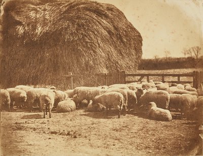 [Schapen in een hok]. door John Whistler