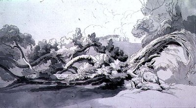 Landschap met ontwortelde boom door John White Abbott