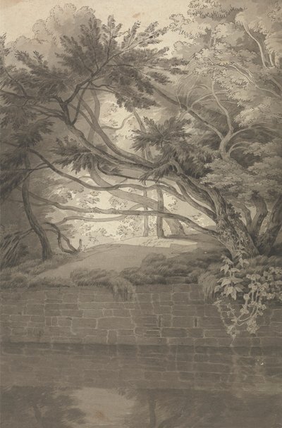 Bomen overhangend een meer door John White Abbott