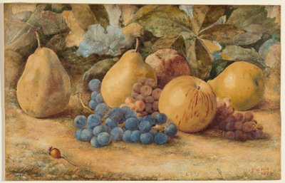 Stilleven van fruit: appels, peren en druiven op de grond door John William Hill