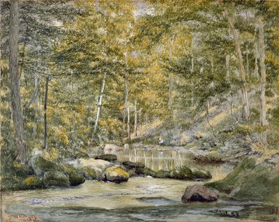 Bosvijver met vissende mannen, 1870 door John William Hill