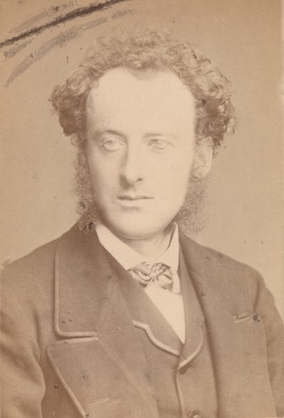 John Everett Millais door John and Charles Watkins