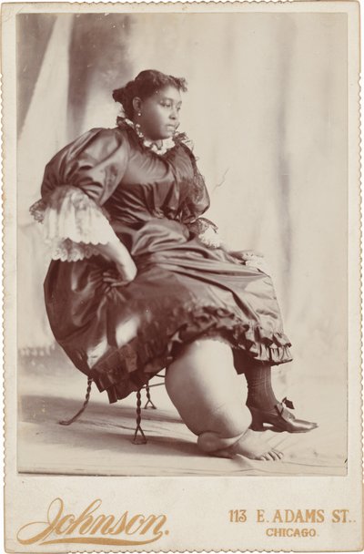 Portret van een vrouw,c. 1890 (foto) door Johnson