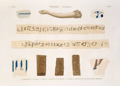 Illustraties van hiërogliefen en de arm van een mummie uit Hypogees, Thebe, plaat 48 uit Vol II van 