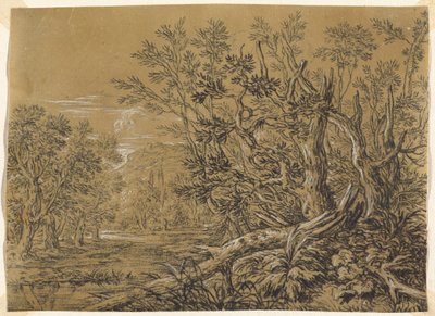Stroom door een Oud Bos door Jonas Umbach