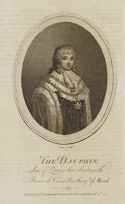De dolfijn door Jones