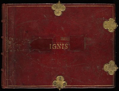 Animalia Rationalia et Insecta (Ignis), volume I door Joris Hoefnagel