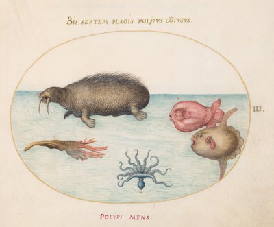 Zeewezens, ca. 1575-80 door Joris Hoefnagel