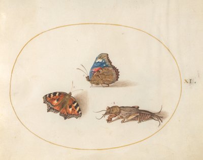 Blad 11: Kleine Vos en Atalanta Vlinders met een Molkrekeltje door Joris Hoefnagel