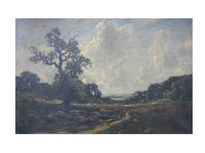 De weg over de heide door Jose Weiss