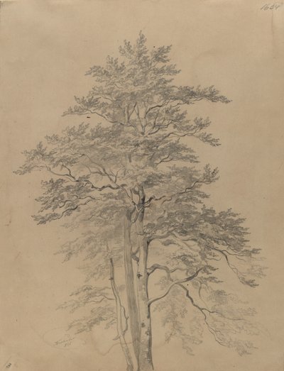  door Josef Kriehuber