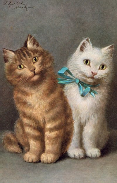 Katten ansichtkaart door Josef Sperlich