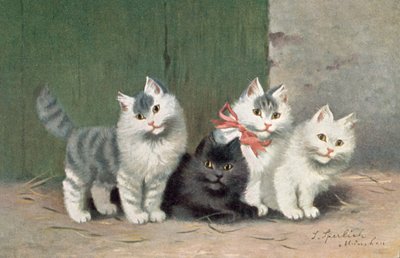 Katten ansichtkaart door Josef Sperlich