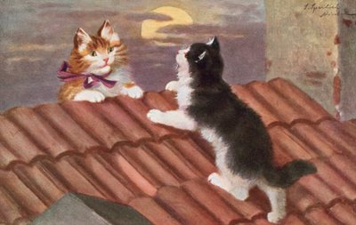 Kattenansichtkaart door Josef Sperlich