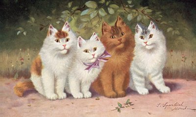 Kattenansichtkaart door Josef Sperlich