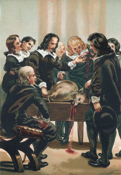 William Harvey demonstreert de bloedsomloop door Josep or Jose Planella Coromina