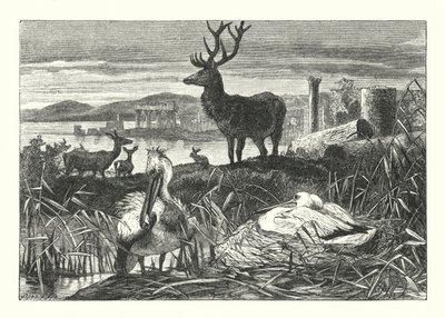Het Verval van Aardse Pracht door Joseph (after) Wolf
