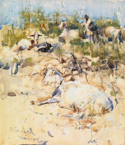 Geiten op een Heuvel, Tanger door Joseph Crawhall