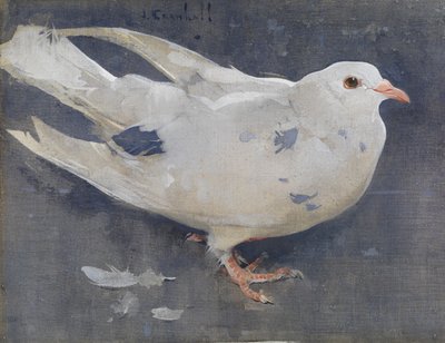 De duif door Joseph Crawhall