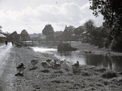 Gezicht op een beek met brug erover, op de voorgrond ganzen en op de achtergrond gebouwen en wat een kerk lijkt te zijn; architectuur; religieus; kerkelijk; door Joseph Hardman