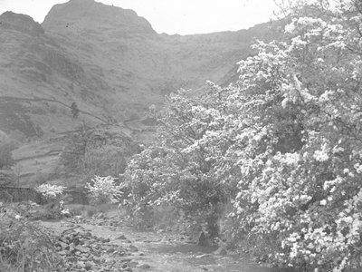 Rivier met bloesembomen langs oever en Langdale Pike op achtergrond door Joseph Hardman