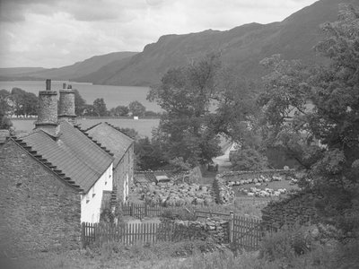 Schapen op een boerderij, meer en bergen op achtergrond door Joseph Hardman