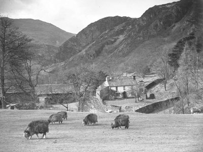 Schapen grazen in veld met boerderij en heuvels erachter door Joseph Hardman