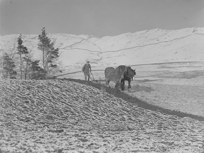 Twee paarden aan het ploegen in de Lune-vallei door Joseph Hardman