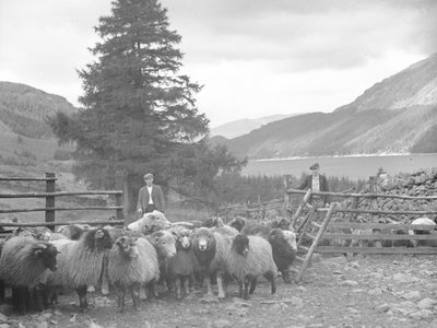 Twee herders met een kudde schapen en Thirlmere erachter door Joseph Hardman