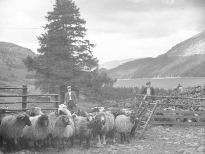 Twee herders met een kudde schapen en Thirlmere erachter door Joseph Hardman