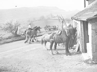 Werkpaarden buiten Crostwaite Smithy door Joseph Hardman