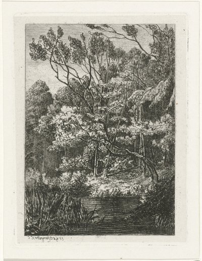 Bosgezicht door Joseph Hartogensis