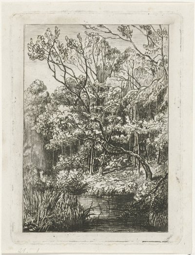 Bosgezicht door Joseph Hartogensis