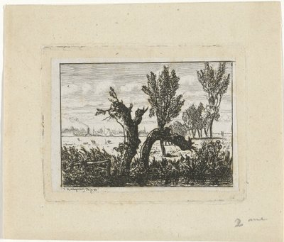 Landschap met knotwilgen door Joseph Hartogensis