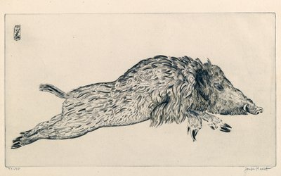 Wild Zwijn (Le Sanglier) door Joseph Hecht
