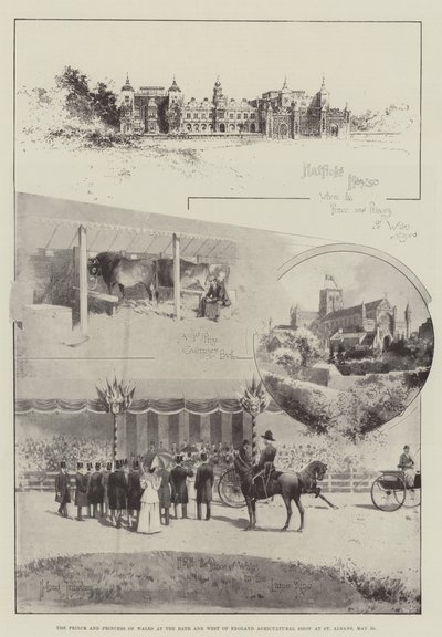 De prins en prinses van Wales op de Bath and West of England Agricultural Show in St Albans, 29 mei door Joseph Holland Tringham